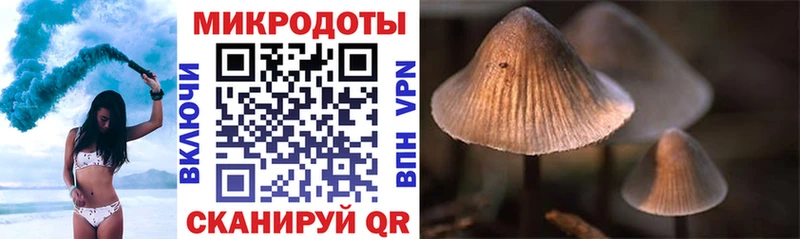 Псилоцибиновые грибы мицелий где купить наркоту Каспийск